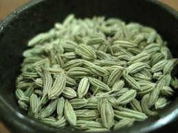 Manufacturers Exporters and Wholesale Suppliers of Fennel Seeds Amreli Gujarat